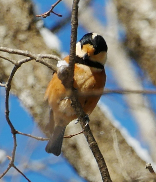 ���}�K��