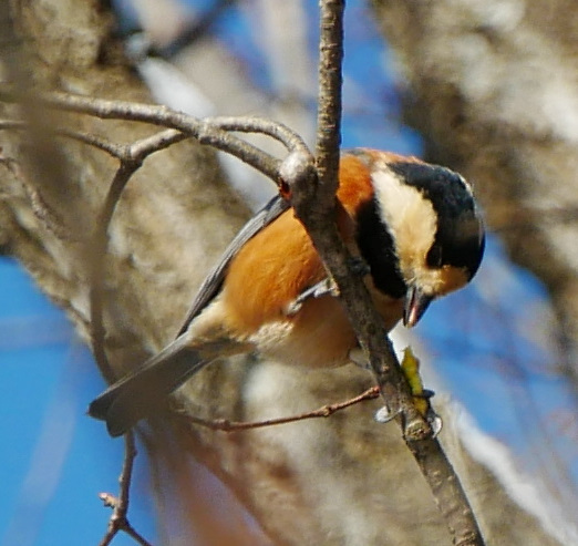 ���}�K��