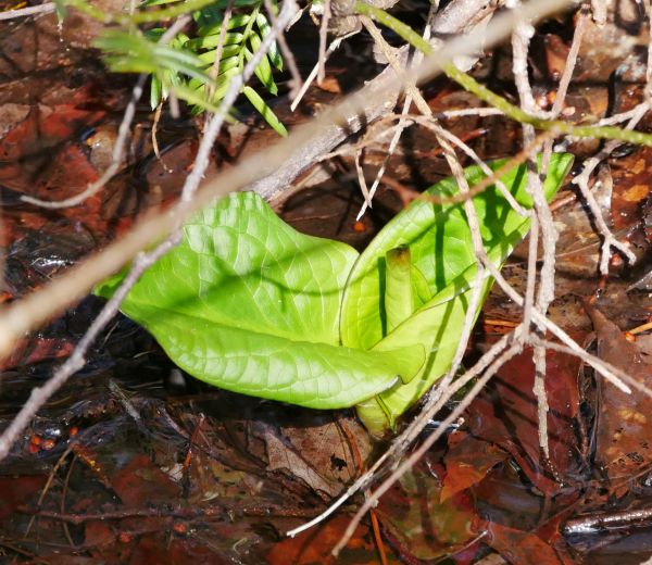 �~�Y�o�V���E