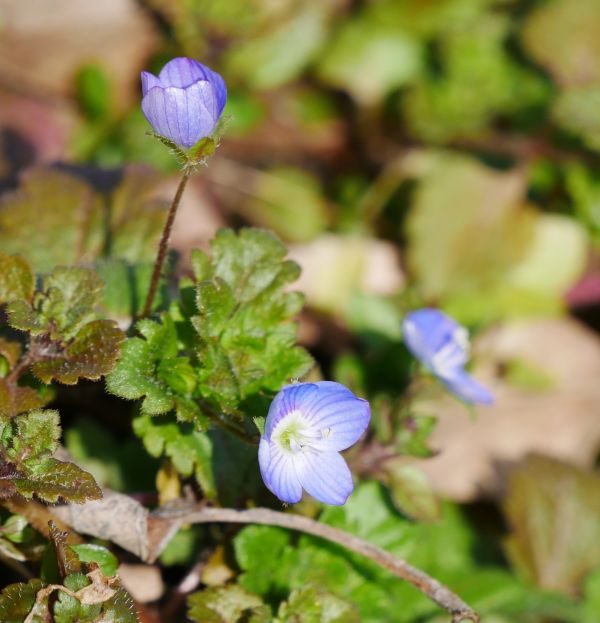 �I�I�C�k�m�t�O��