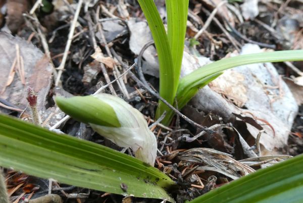 �V��������