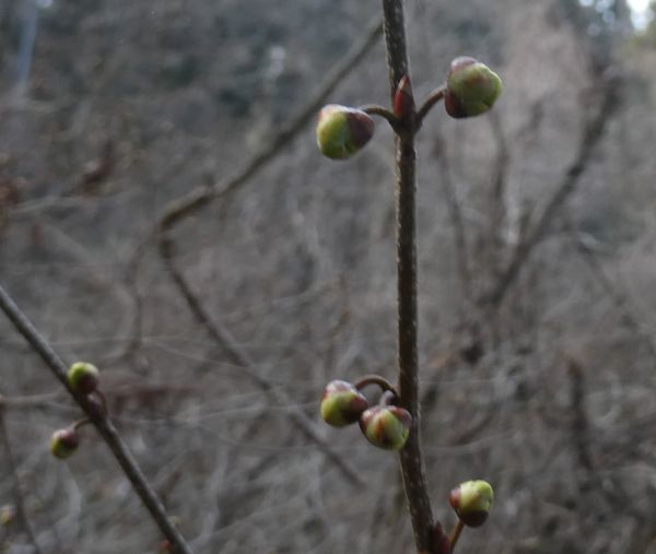 �A�u���`����