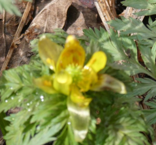 �t�N�W���\�E