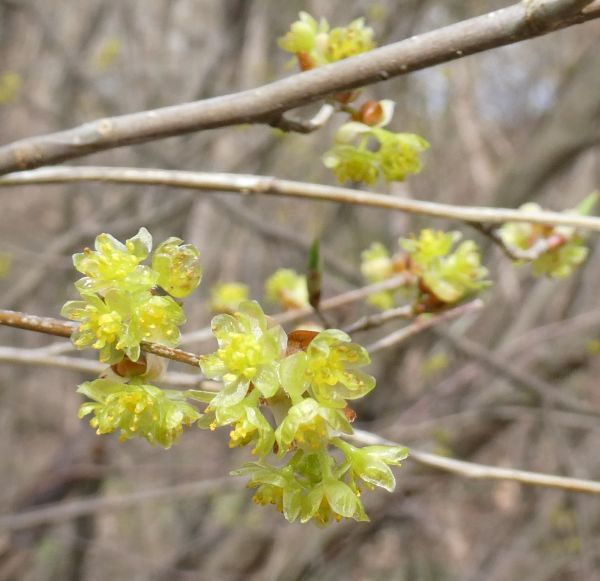 �A�u���`����