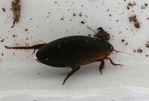 �Q���S���E