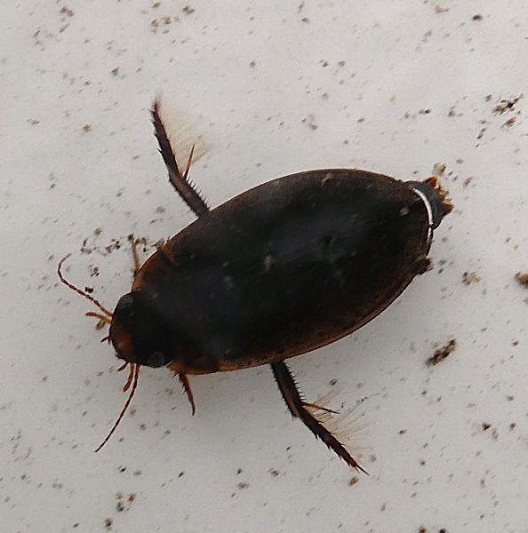 �Q���S���E