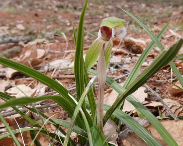 �V��������