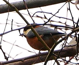 ���}�K��