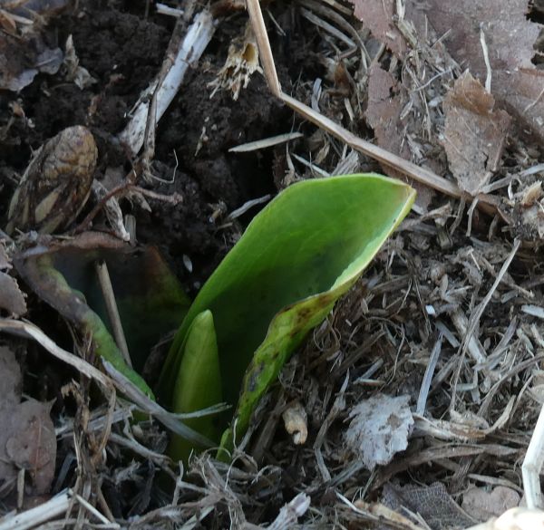 �~�Y�o�V���E