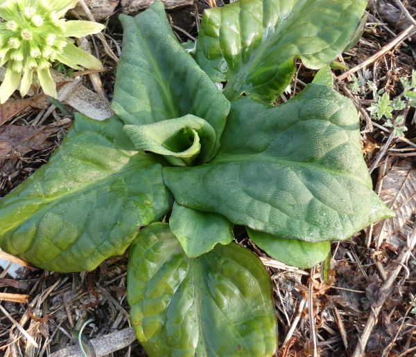 �E�o����