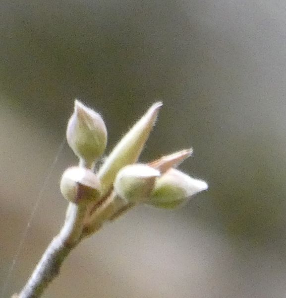 �N�����W