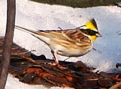 �~���}�z�I�W��