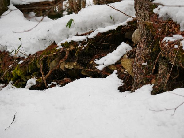 �΂ɒ�����������